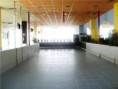 /album/actividades/a1767-003547-foto-4-153777817-jpg1/